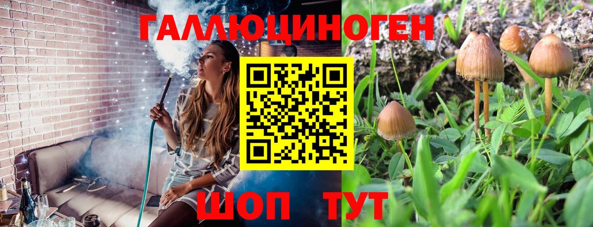 Псилоцибиновые грибы мицелий  Псилоцибиновые грибы GOLDEN TEACHER  Вход с VPN  Чехов 